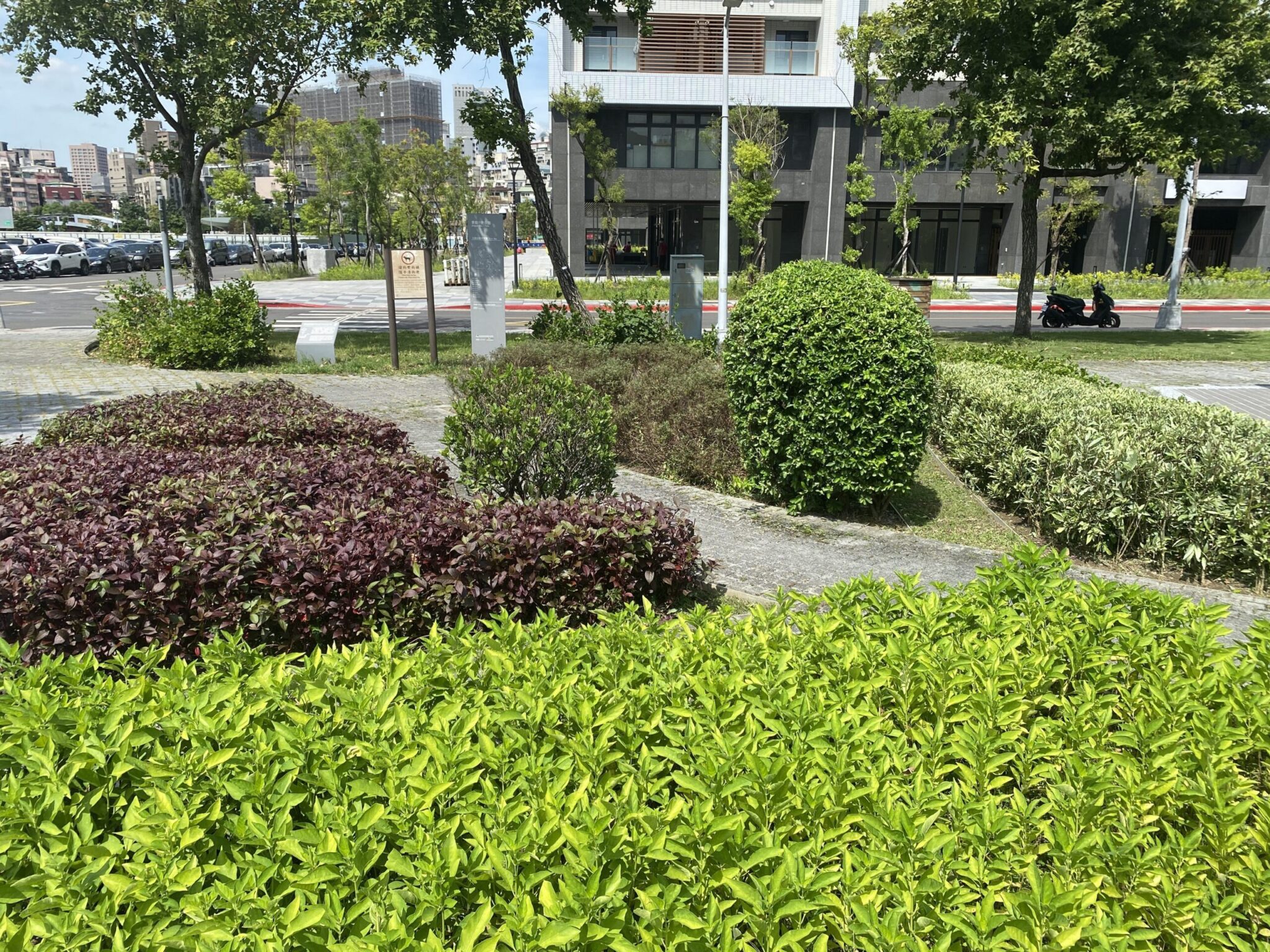 暗香湧動！北市景勤一號公園香草園　打造都市中的療癒綠洲