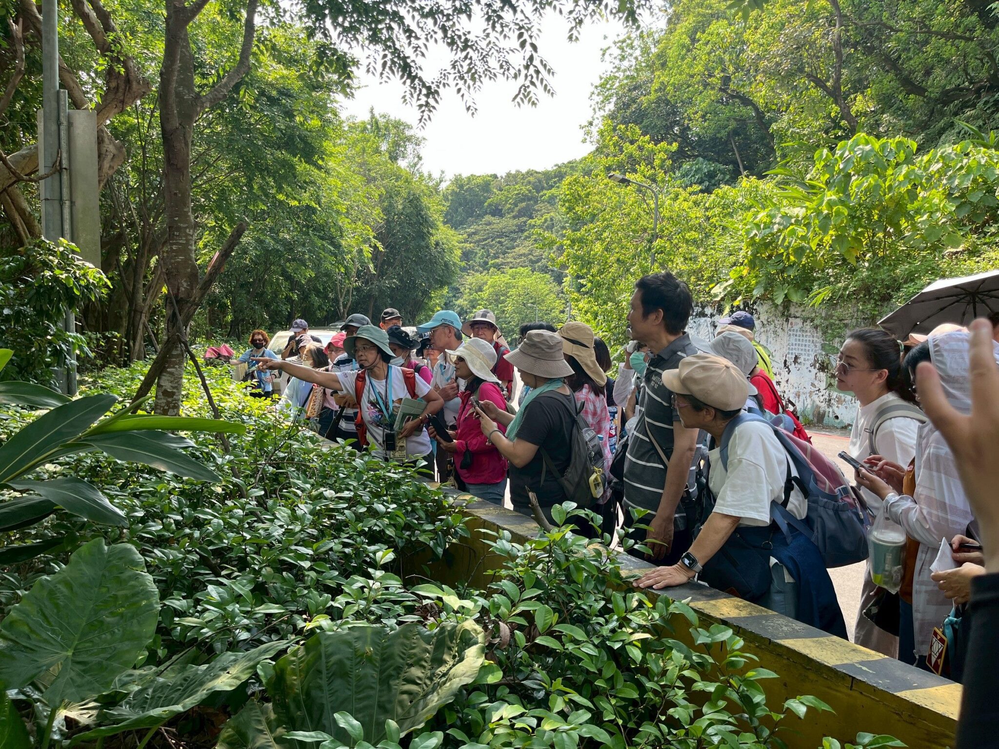 想學舞蹈、手機、語言別再等！樂齡進修券開放申請　最高補助3千元