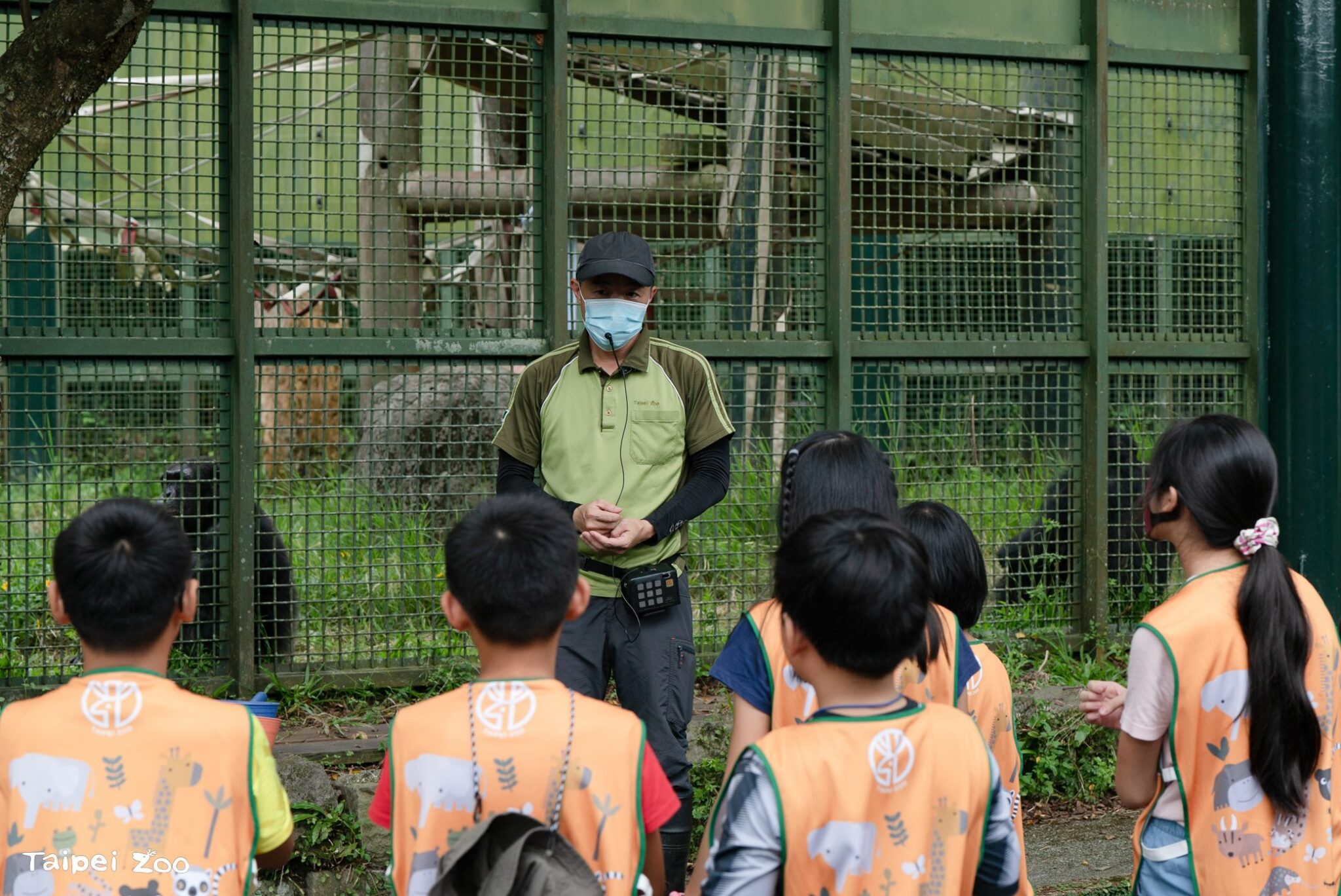 動物園暑期營隊5/31開放報名　490名額搶先探索野生動物世界