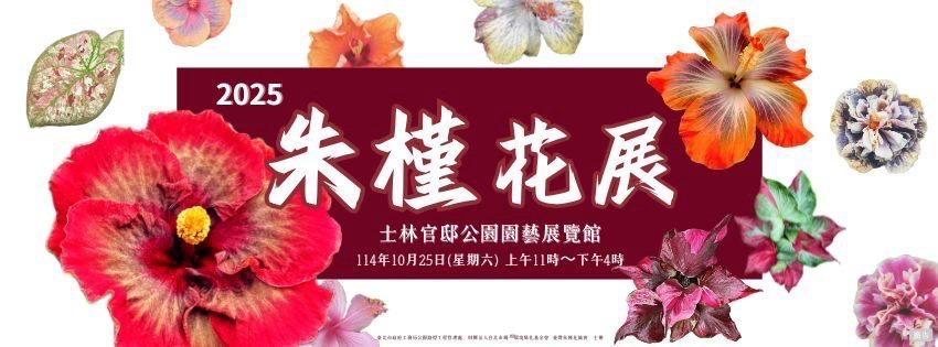 只開一天！士林官邸「朱槿花展」綻放千朵美景　錯過再等一年