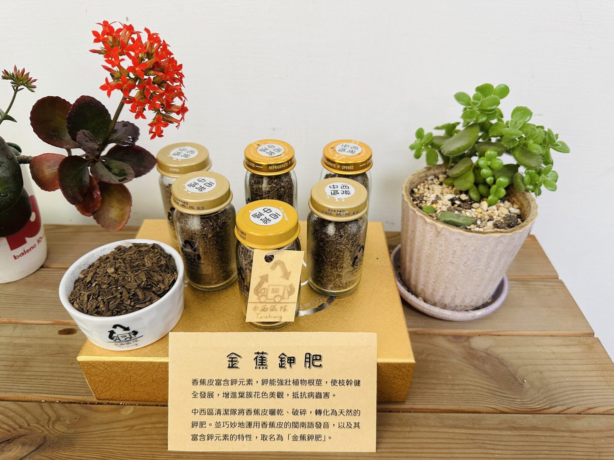 助植物繽紛迎春天! 中西區清潔隊巧手將香蕉皮變「金蕉鉀肥」 助植物繽紛迎春天! 中西區清潔隊巧手將香蕉皮變「金蕉鉀肥」