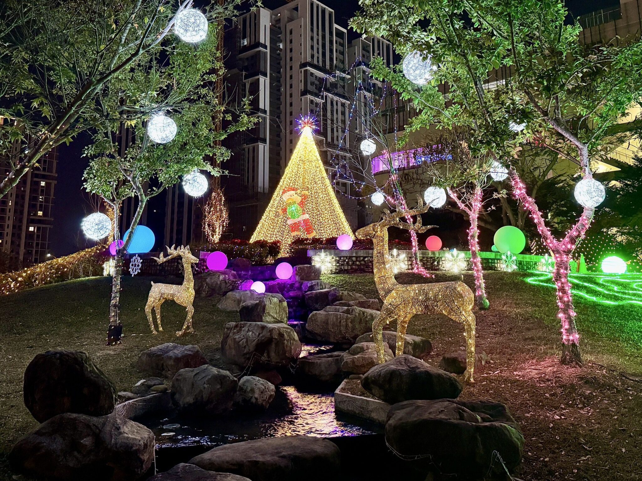 中市湧泉公園化身聖誕奇境! 五彩燈飾點亮冬季仙境 中市湧泉公園化身聖誕奇境! 五彩燈飾點亮冬季仙境