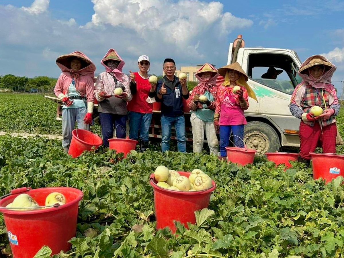 高雄瓜果豐收上市　初夏吃瓜正對時