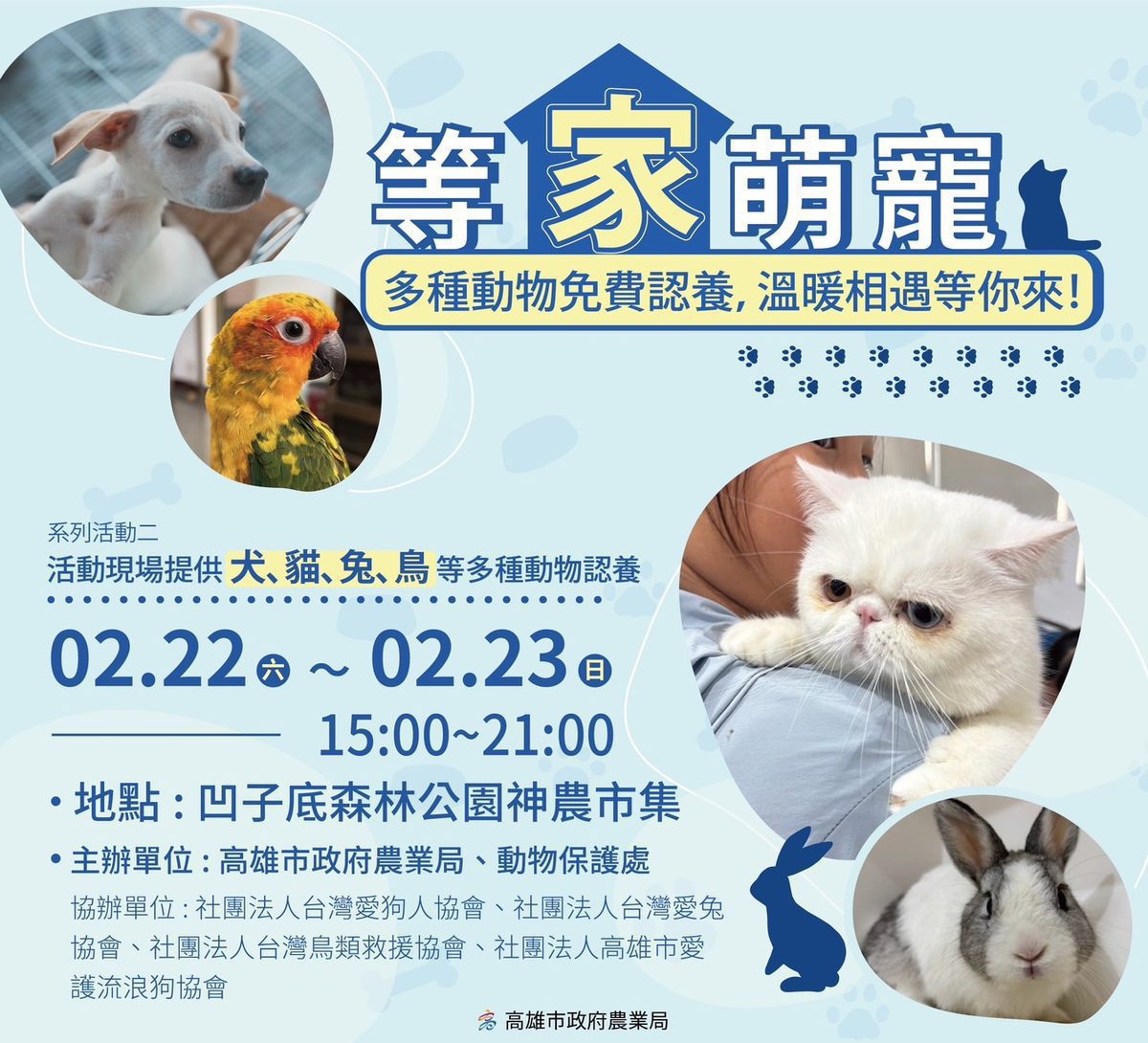 神農市集「蛇麼都有 蛇麼攏賀」 精選農產、創意私廚與吸睛萌寵齊聚高雄凹子底公園 神農市集「蛇麼都有 蛇麼攏賀」 精選農產、創意私廚與吸睛萌寵齊聚高雄凹子底公園