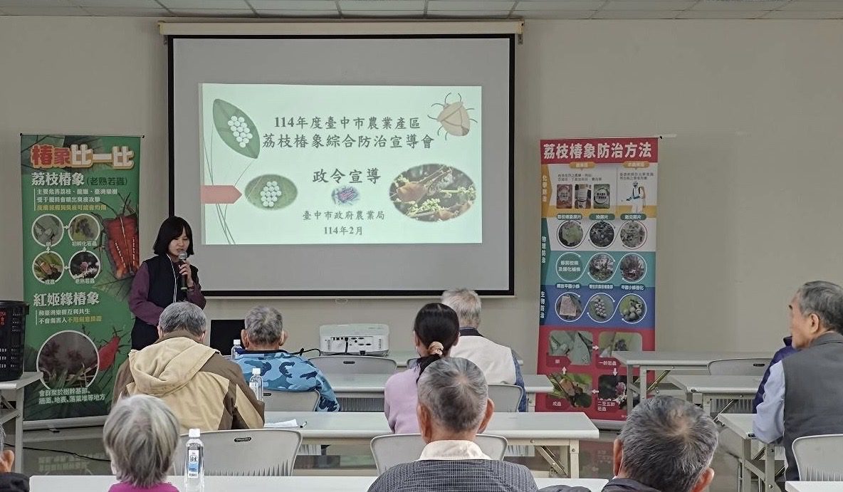荔枝椿象整合防治啟動 中市大里首場防治宣導講習會登場 荔枝椿象整合防治啟動 中市大里首場防治宣導講習會登場