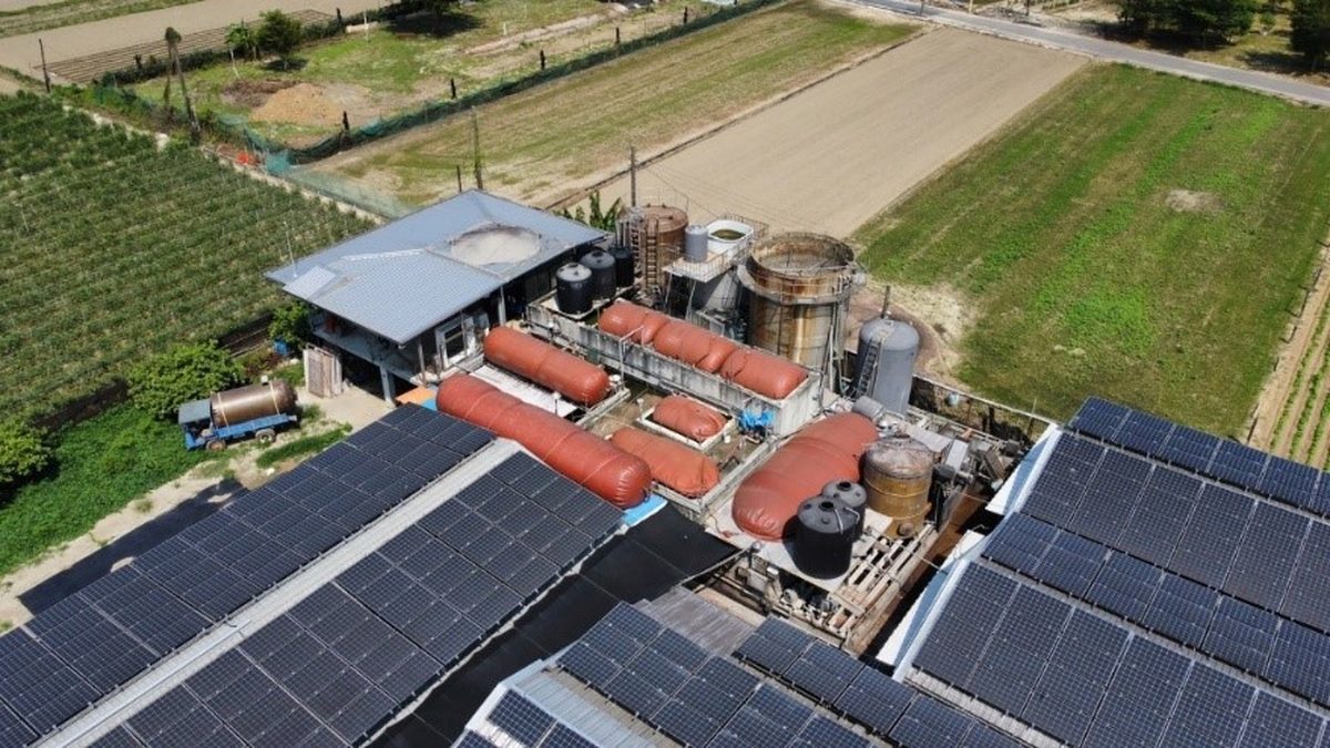 「黃金」變「綠金」! 全國第一家取得綠電憑證民營養豬場在高雄 「黃金」變「綠金」! 全國第一家取得綠電憑證民營養豬場在高雄