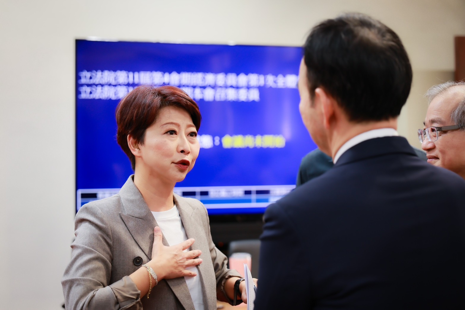 陳亭妃出任經濟委員會召委　聚焦災後重建預算