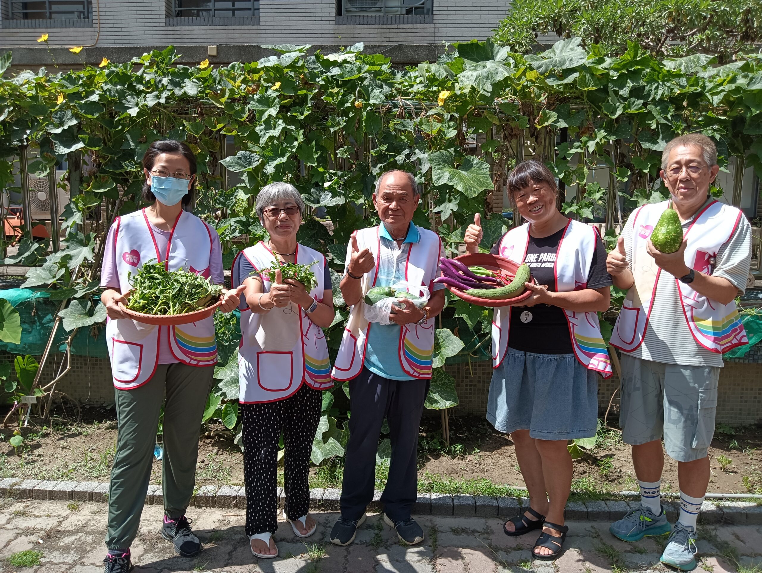 台中北屯家庭中心打造開心農場　蔬果贈500戶弱勢家庭