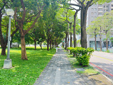 走起來更安全！　西屯「夏綠地公園」人行道優化登場 年底前完工迎綠意新步道