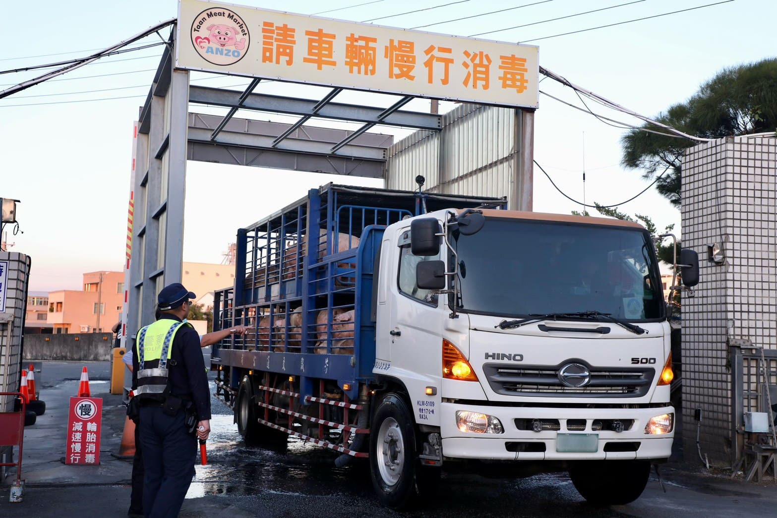 防非洲豬瘟再升級　中市府助農民減輕負擔並強化防疫監測