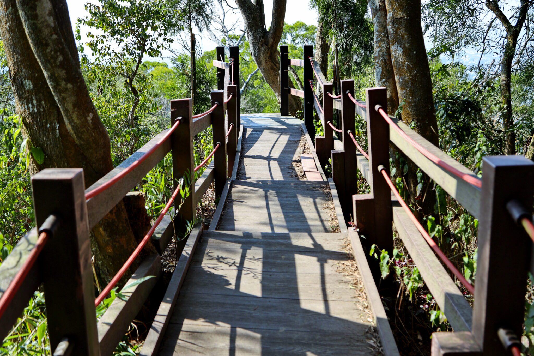 中市全力推動登山步道災害復建工程　部分步道實施封閉措施