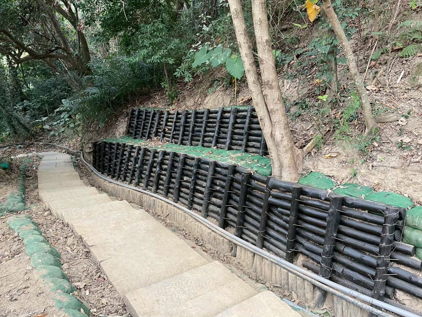 市府加速搶修大坑步道 6、7號步道今日提前開放 2、5號步道拚2月底通行