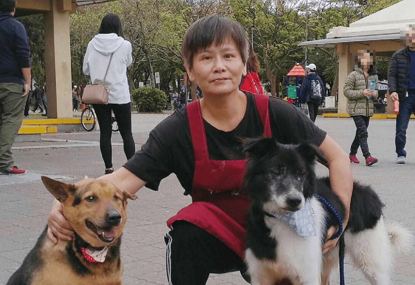中和動保志工隊長黃新　從遛狗到認養媒合　用心守護毛寶貝23年