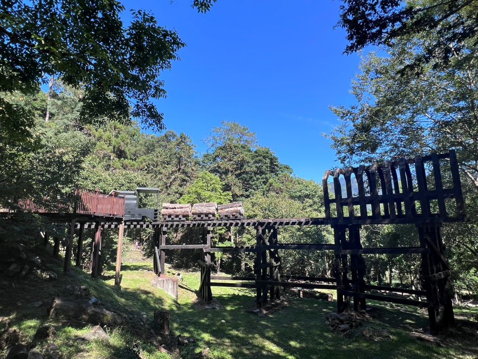 秋季浪漫八仙山「森林豐盛季」慢活時光  不重複的療癒體驗