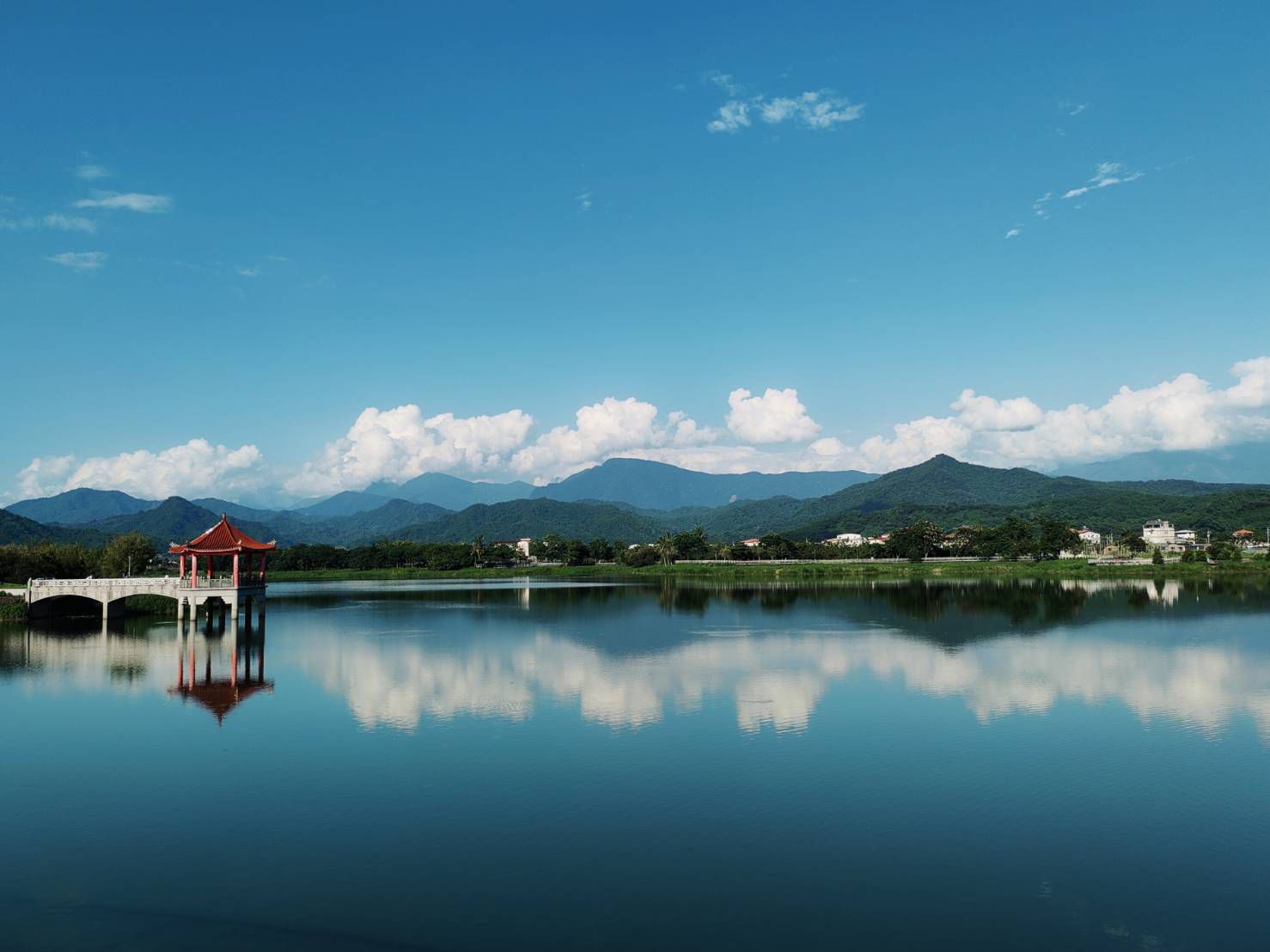 推展美濃湖生態旅遊　觀光局攜手鳥會打造水雉棲地天堂