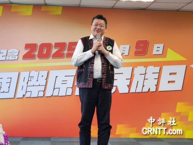 美前官員批賴政府　民進黨：無需見縫插針
