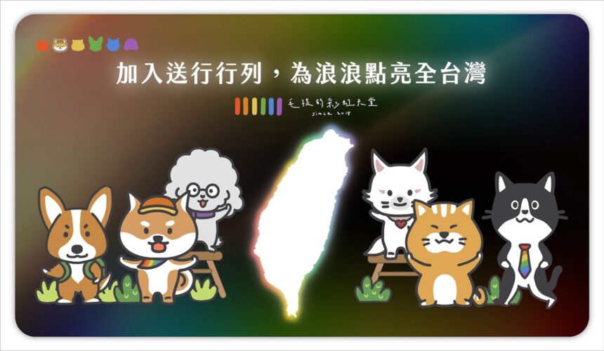 毛孩的彩虹天堂揭示流浪動物生命尊嚴的重要性