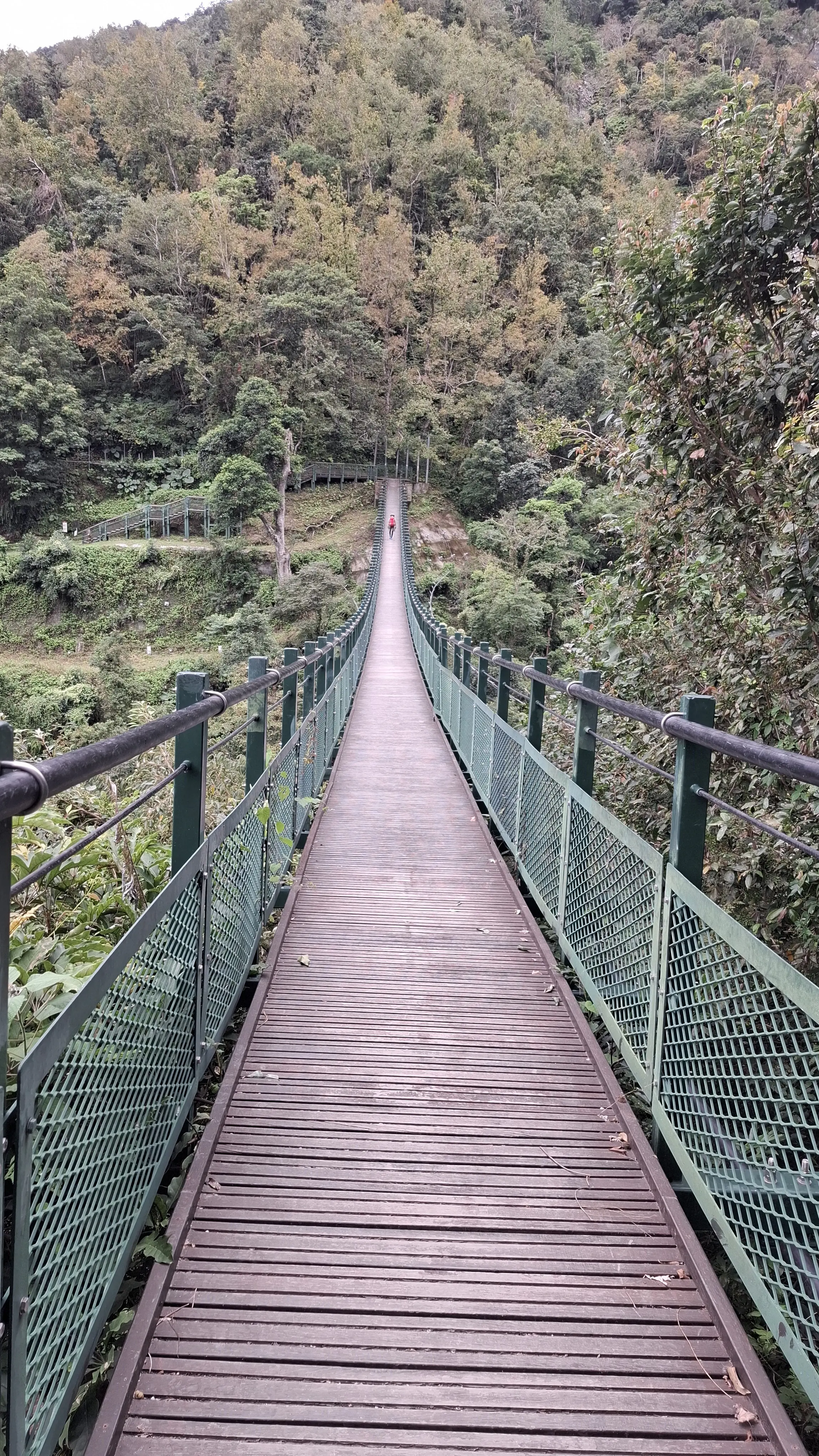 115年玉山東部園區　碳足瓦拉米步道字跡尋寶活動
