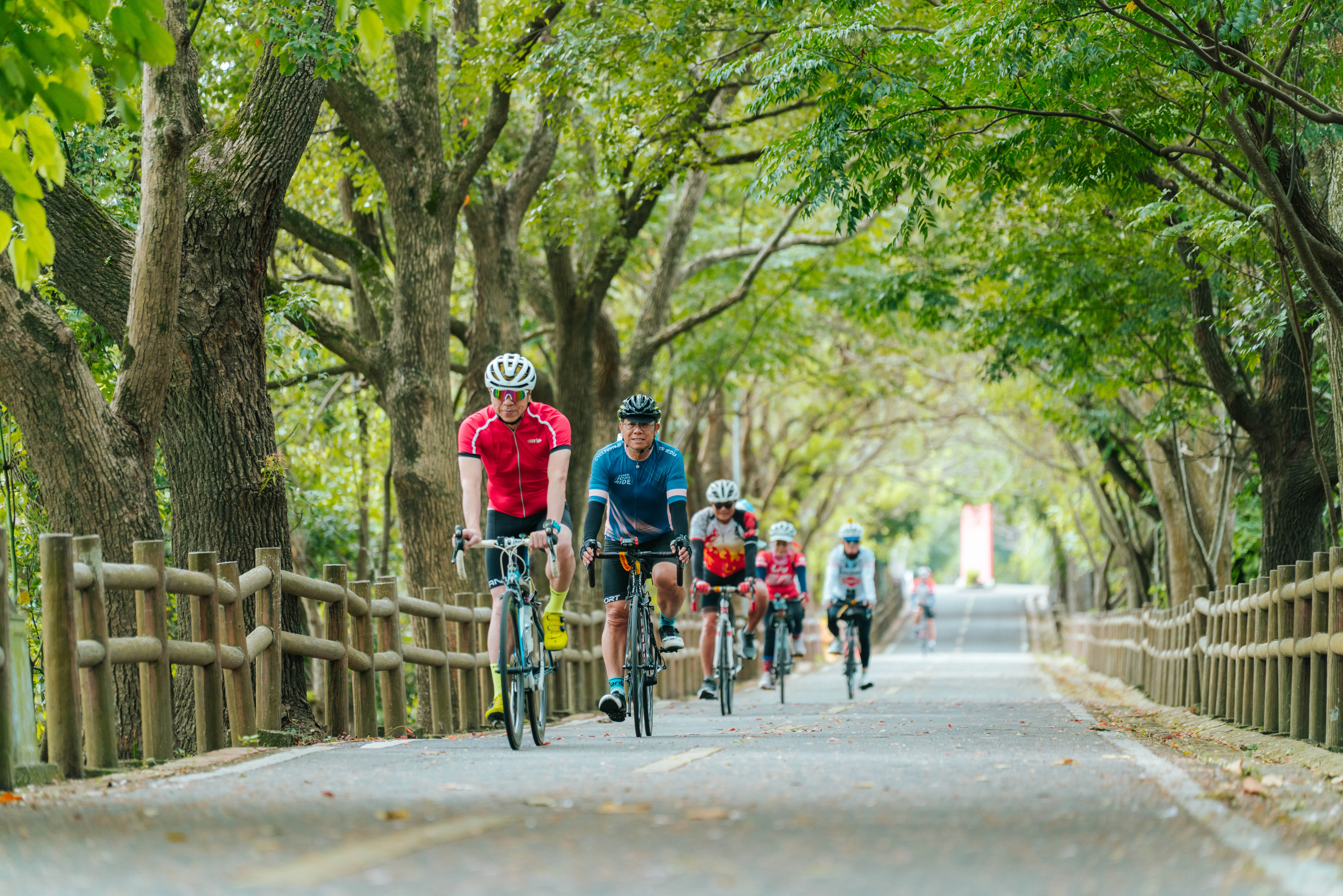 消費保障再升級! 中市推自行車出租「定型化契約」 減少租賃爭議