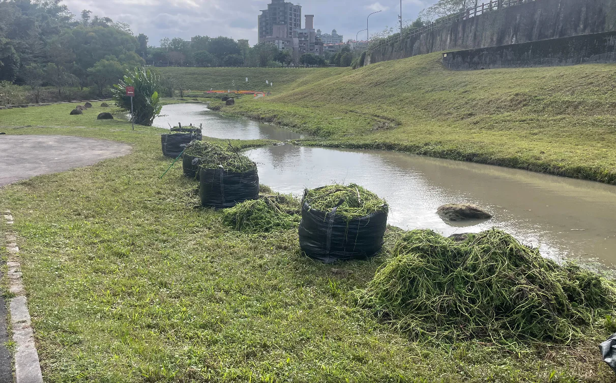防洪升級 大溝溪生態治水園區完成清疏