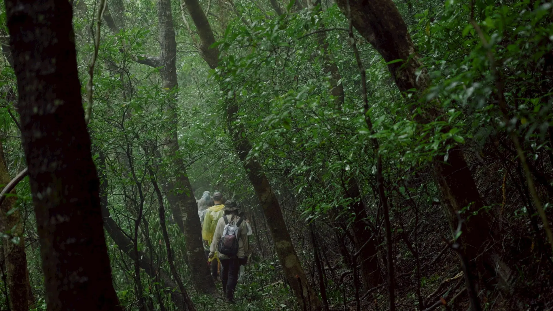尋回南方林業生命史詩 《不馴之森——雙流林業紀事》新書發表會 – 睿傳媒 Rightmedia