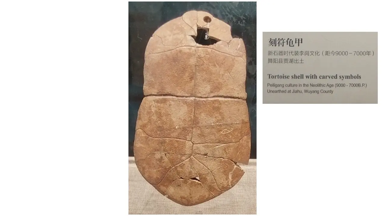 文字會變,文化不變;每一個時代文字的形體變化/《國學專欄》岸先生說文字(八)