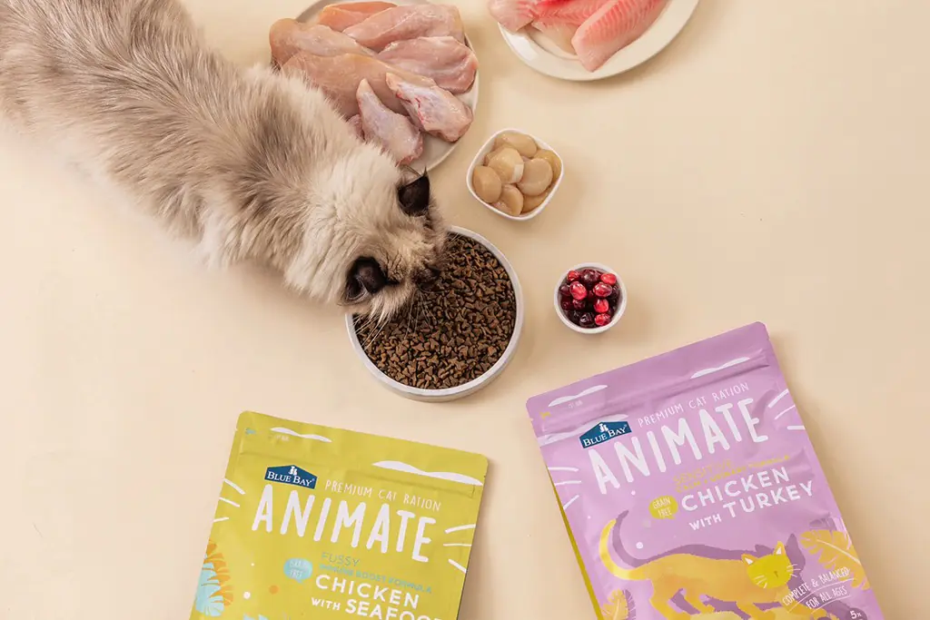 倍力寵物犬貓糧 雙雙通過AAFCO餵食測試