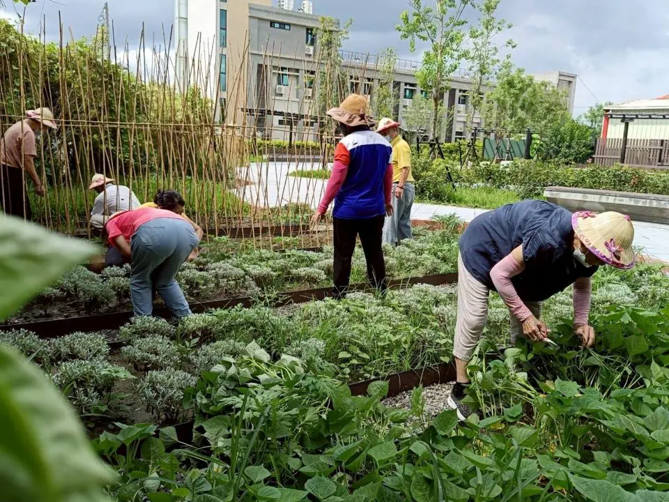 富有人情溫度及融合地方特色 田尾北曾社區「療育系」公園 – 睿傳媒 Rightmedia