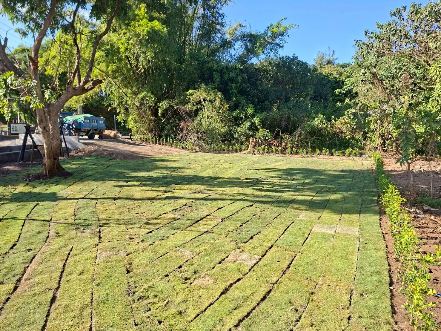 打造友善休憩起點 知高圳步道入口綠美化空間啟用