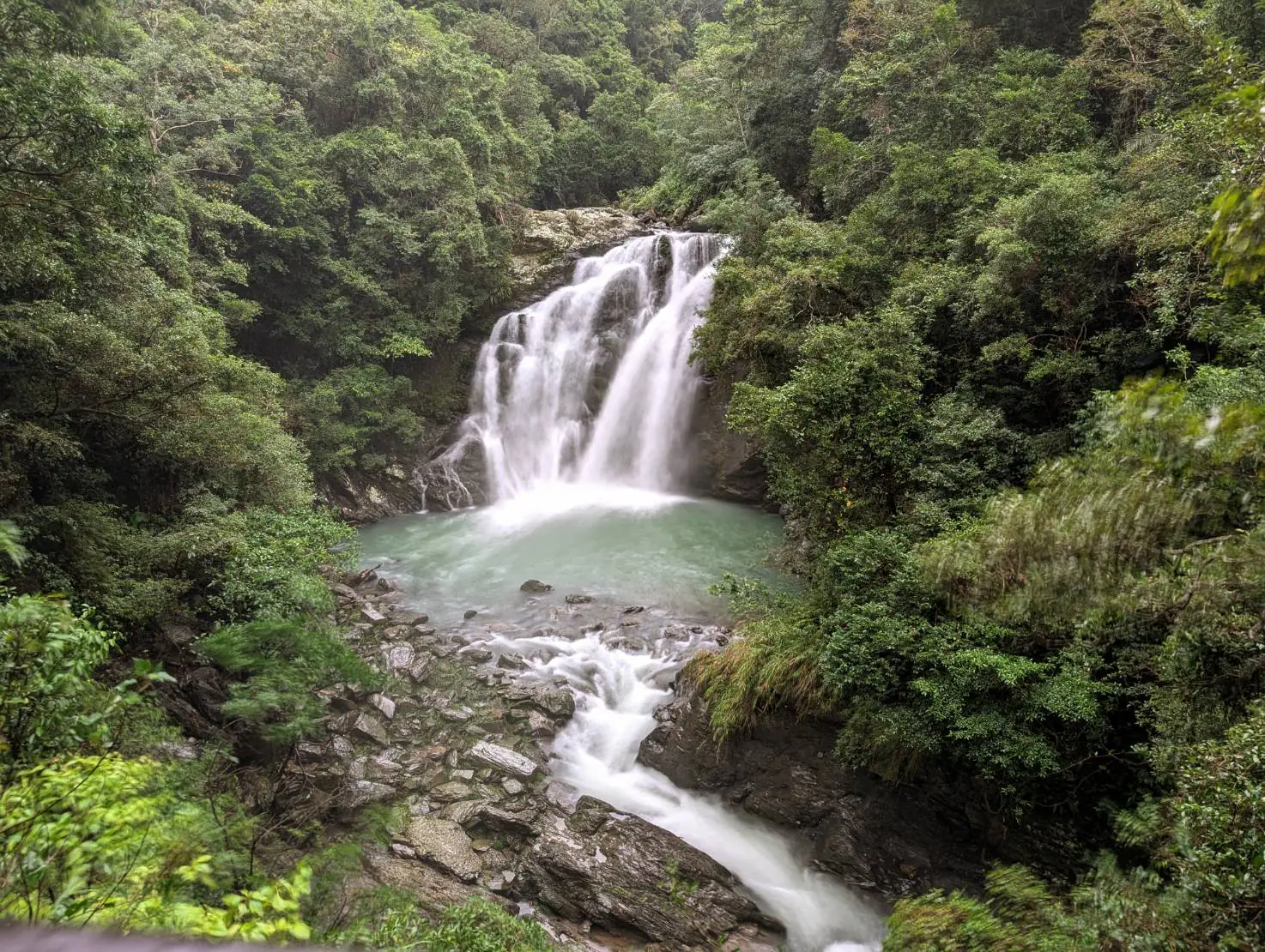 雙流國家森林遊樂區新春尋「馬」趣 拍照留言抽獨家限定好禮 – 睿傳媒 Rightmedia