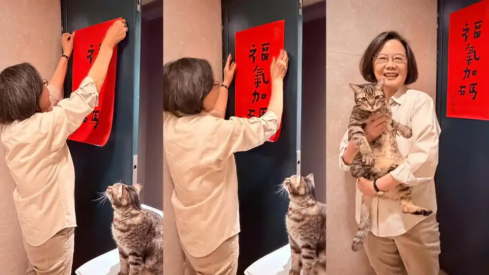 蔡英文自稱“像退休老人”　秀拔蔥照網友點讚