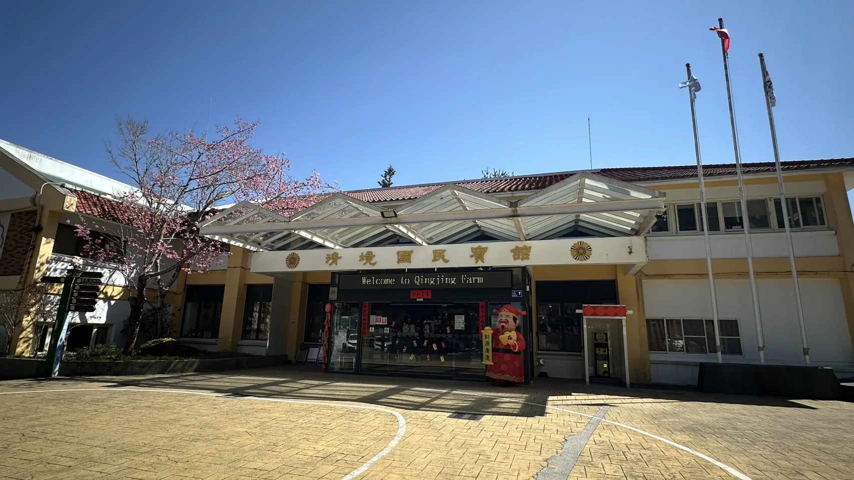 把時間留給浪漫！清境粉紅櫻花綻放　與綿羊共譜春日進行曲