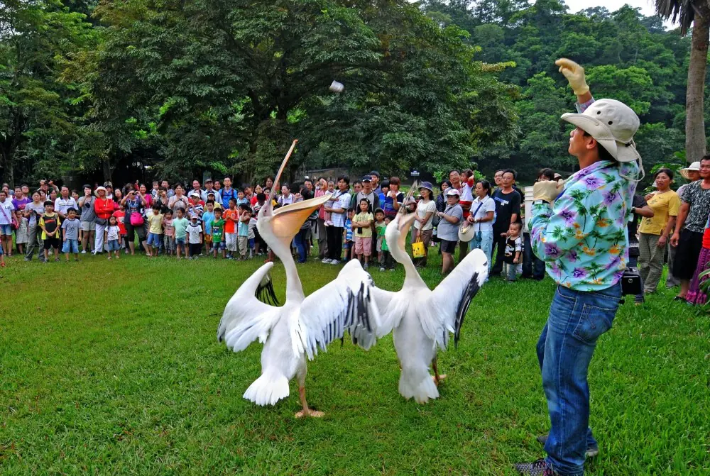 綠世界推「馬免費」超殺優惠! 2026屬馬免費暢遊