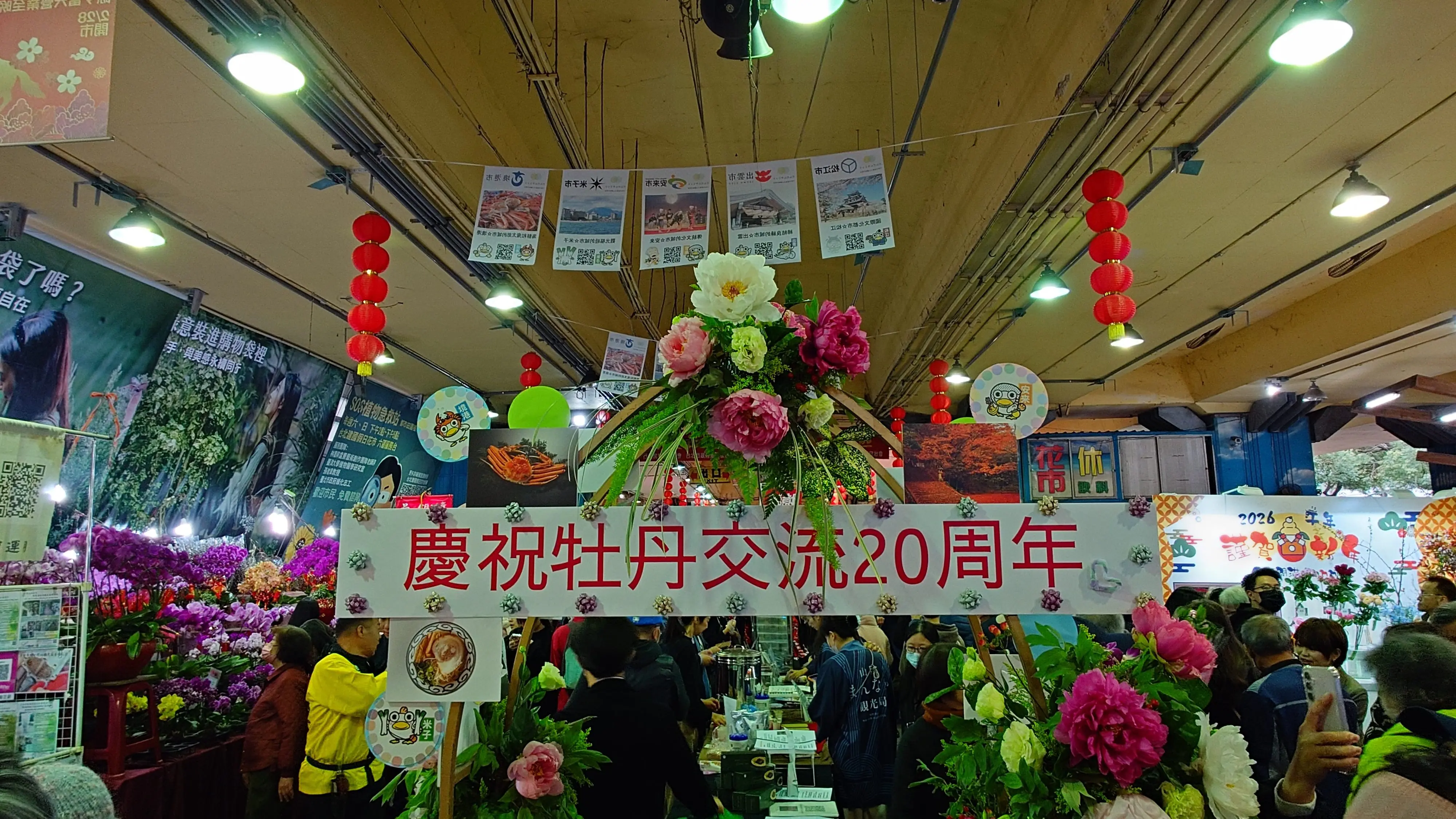 日式牡丹驚艷建國花市　台日花卉展、島根貓熱鬧迎春