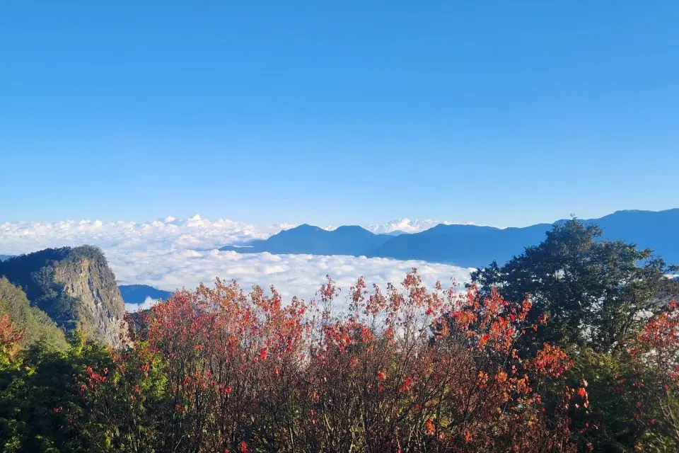春遊嘉義輕鬆來趟療癒小旅行 阿里山×高鐵國旅聯票優惠 – 睿傳媒 Rightmedia