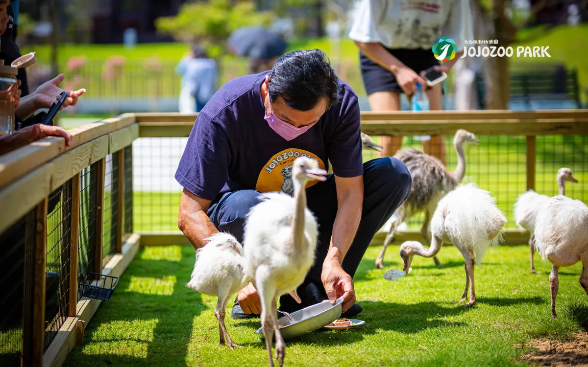 宜蘭萌寵農場風暴後的曙光！九九峰動物樂園「生命守護計畫」 專業醫療接手確保動物福祉