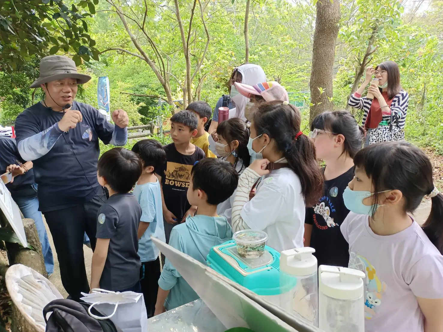 2026大坑蝶螢嘉年華登場 春季賞螢3/31開放報名