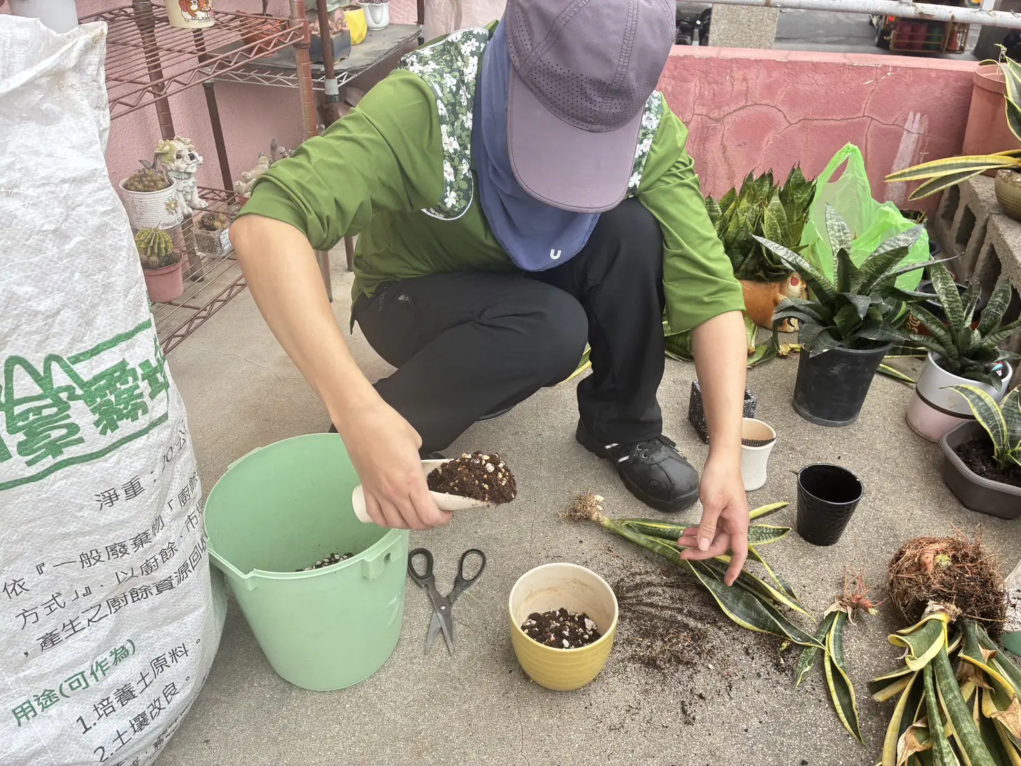 舊瓶罐種出好空氣 中市清潔隊推再生植栽兼顧美化與防疫