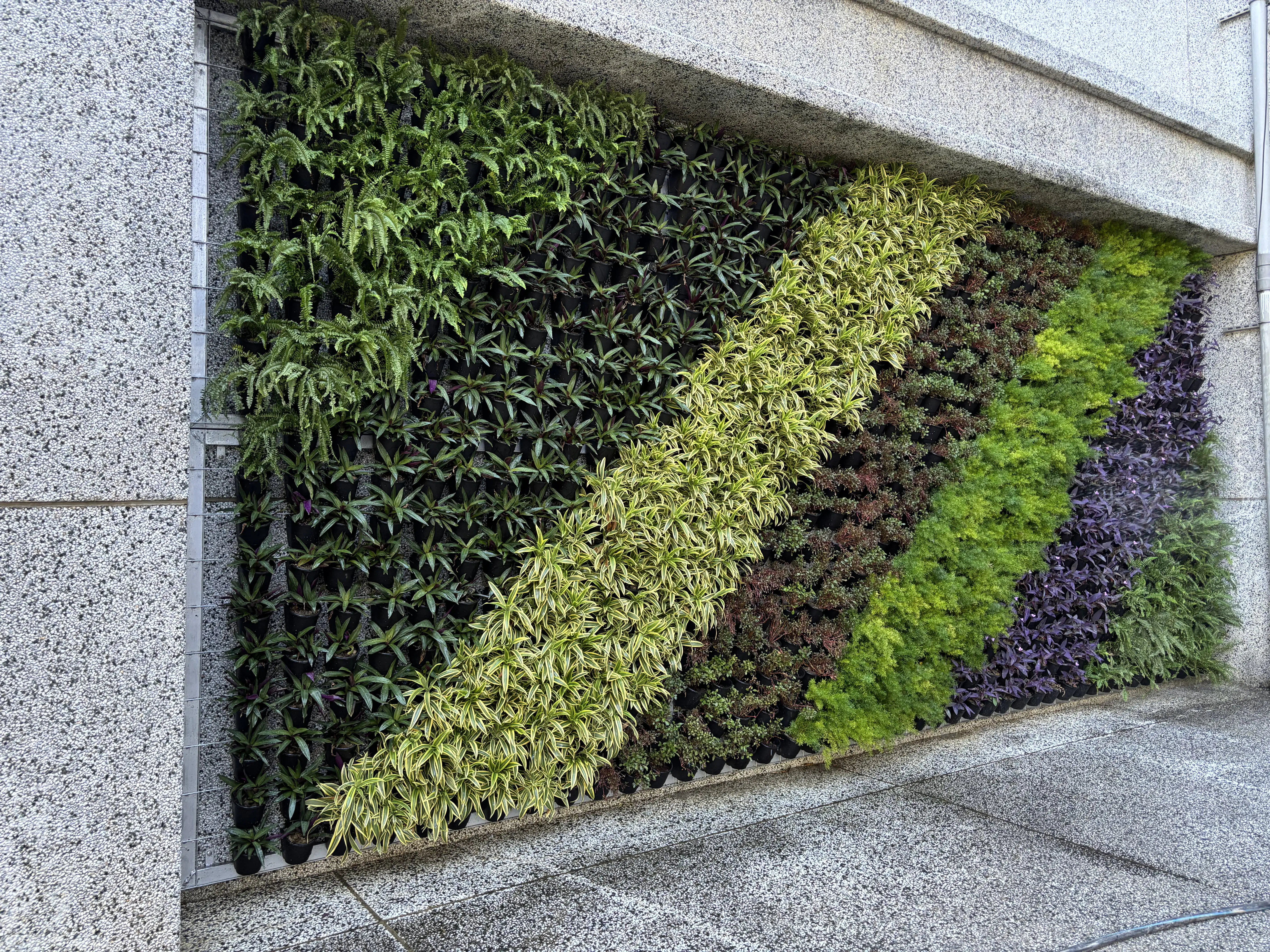 中市環保局推「廣植栽、廣植林」 輔導學校、社區、企業共同打造花園城市