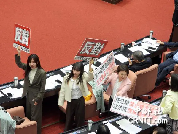 綠委猛喊“一邊一國”　藍白反嗆”修憲”