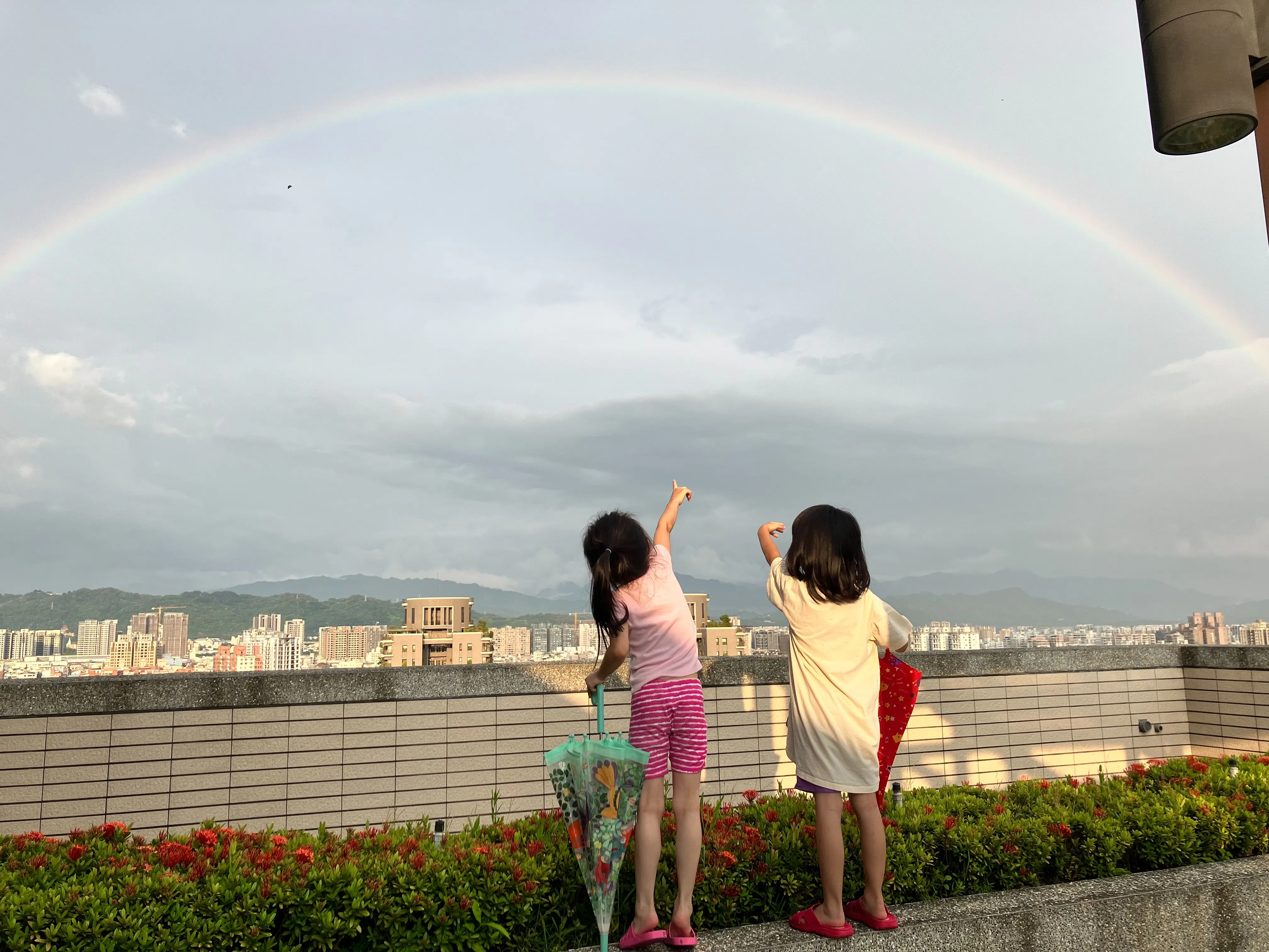 愛，讓我們成為一家人　中市社會局招募寄養家庭