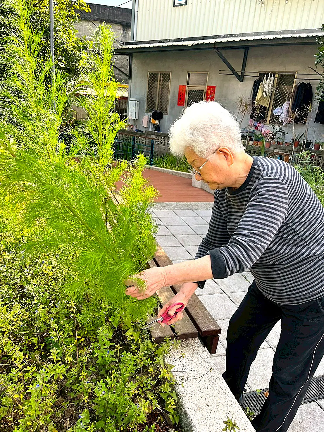 蘭陽仁愛之家安養中心長者用心栽種果實 點滴付出甜甜收穫