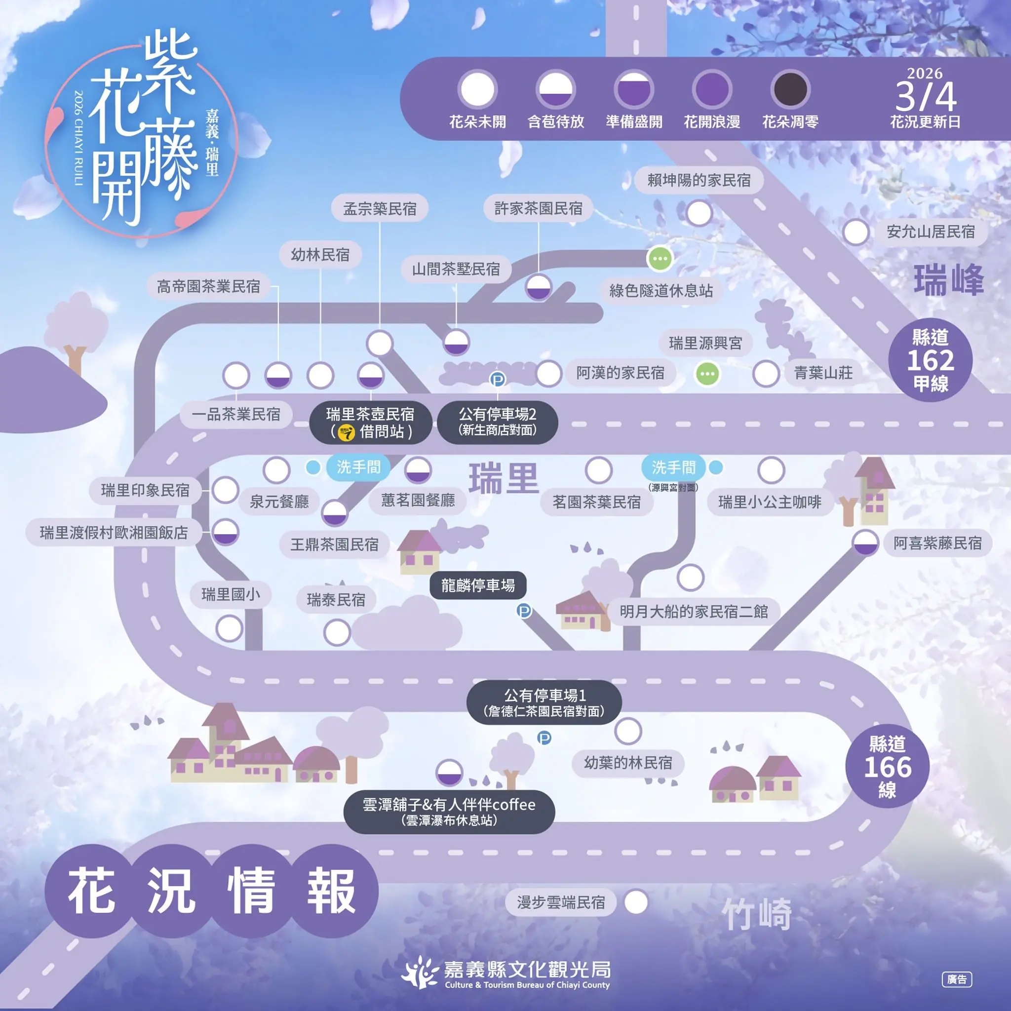 瑞里紫藤含苞待放　春日紫色山城即將登場