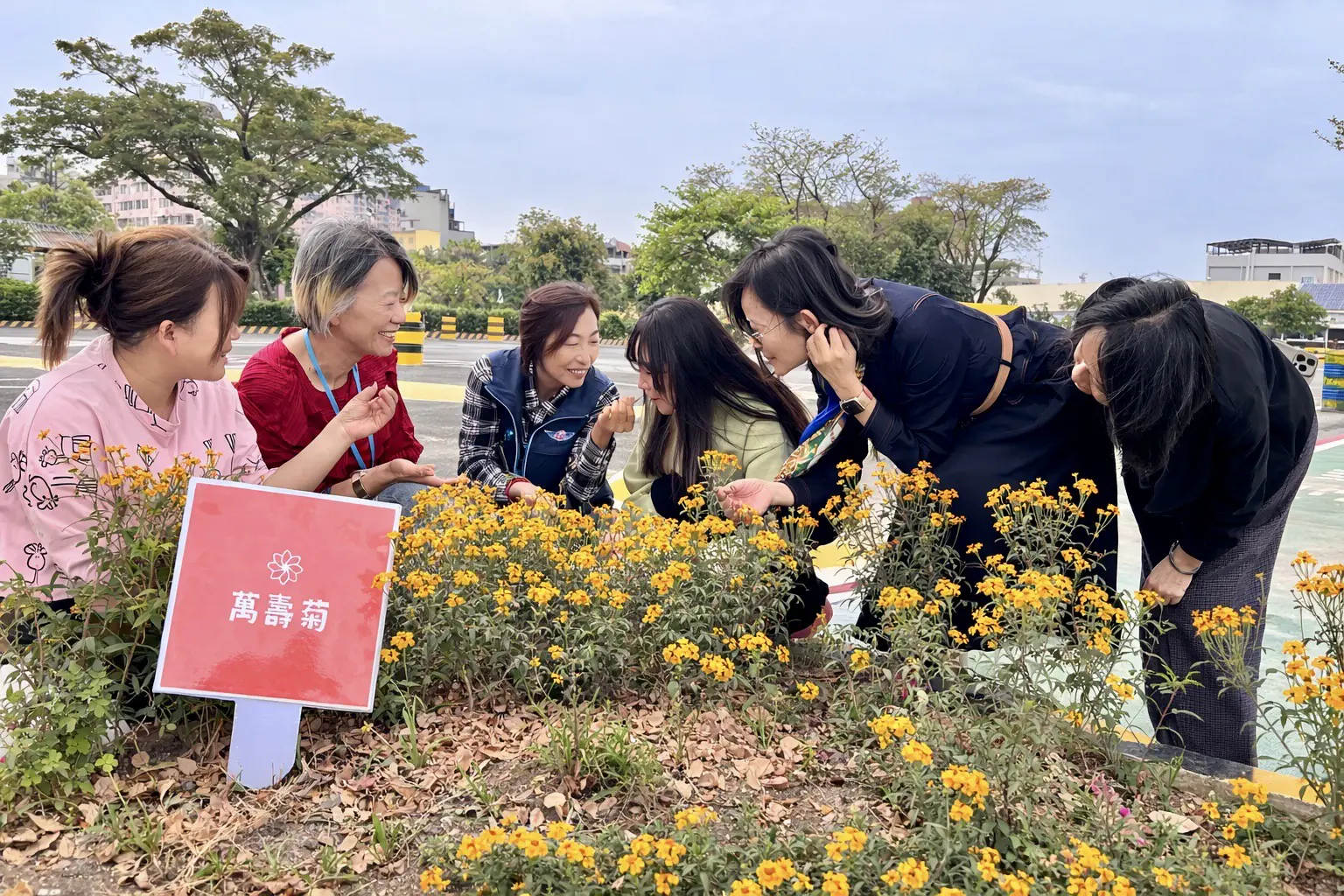 「還記得那株小苗嗎？」 植樹節前夕　高雄區監理所邀民眾一同見證花開時刻