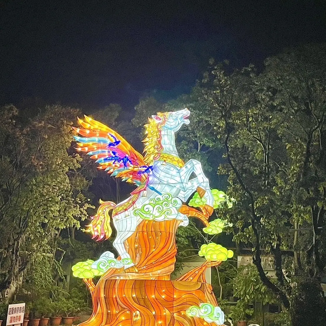 紅螞蟻生態世界的大消息來啦!