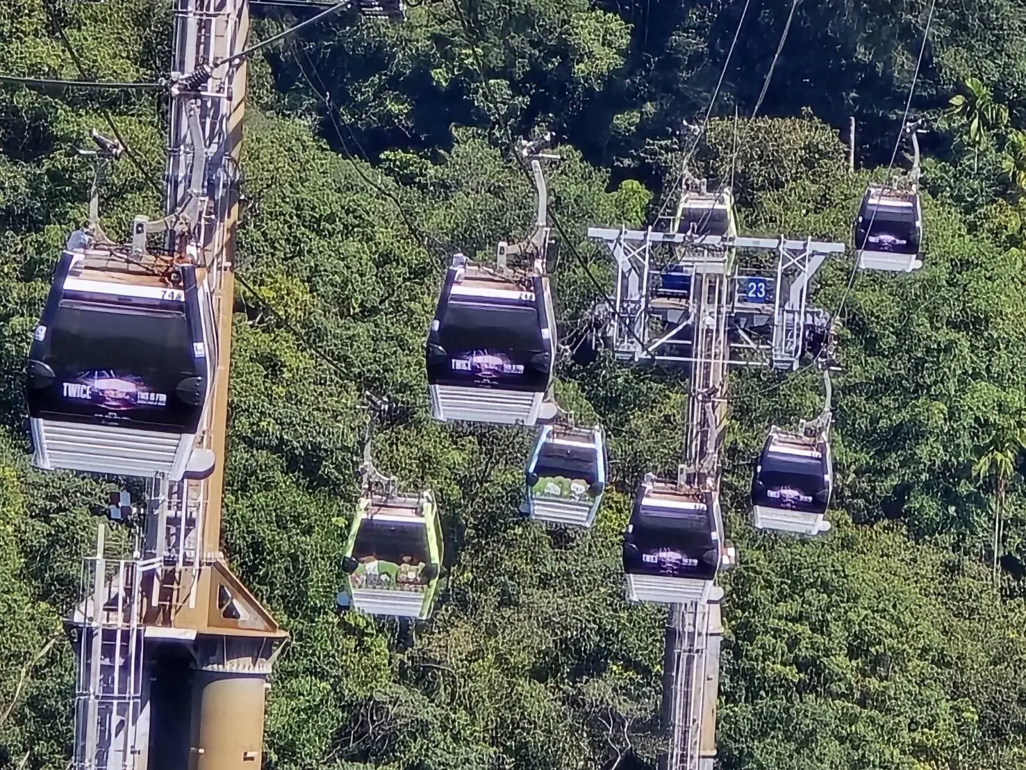 TWICE來臺開唱 貓空纜車9台主題車廂搶先應援