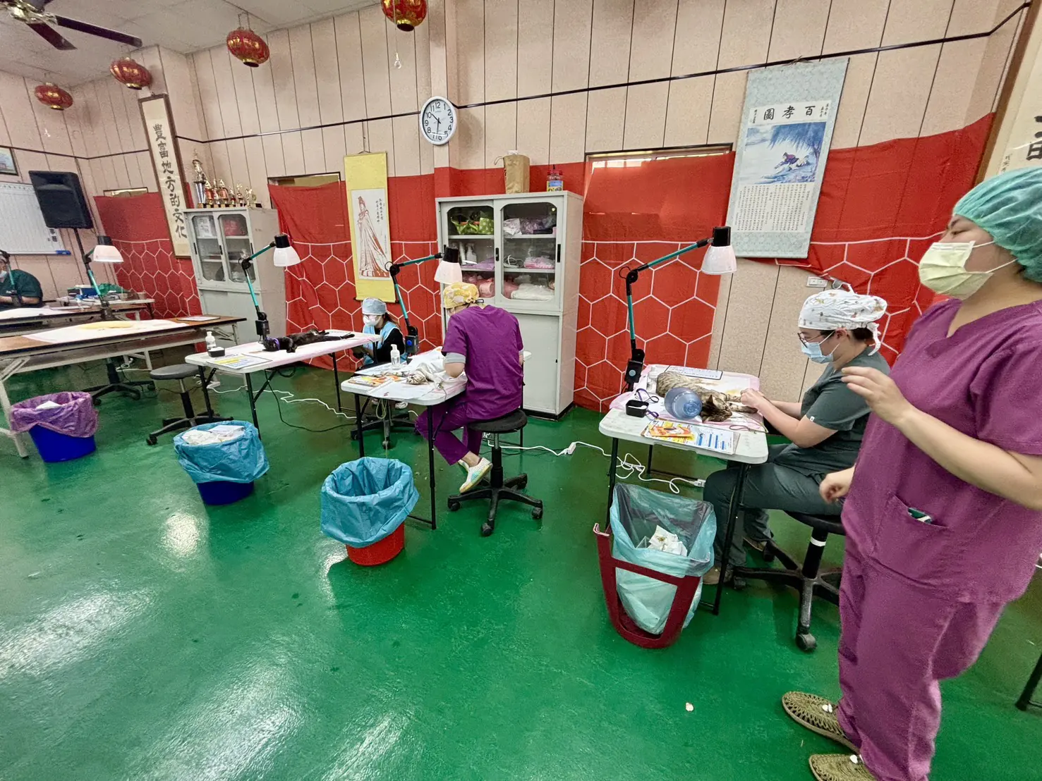 獸醫師們替毛孩們進行手術