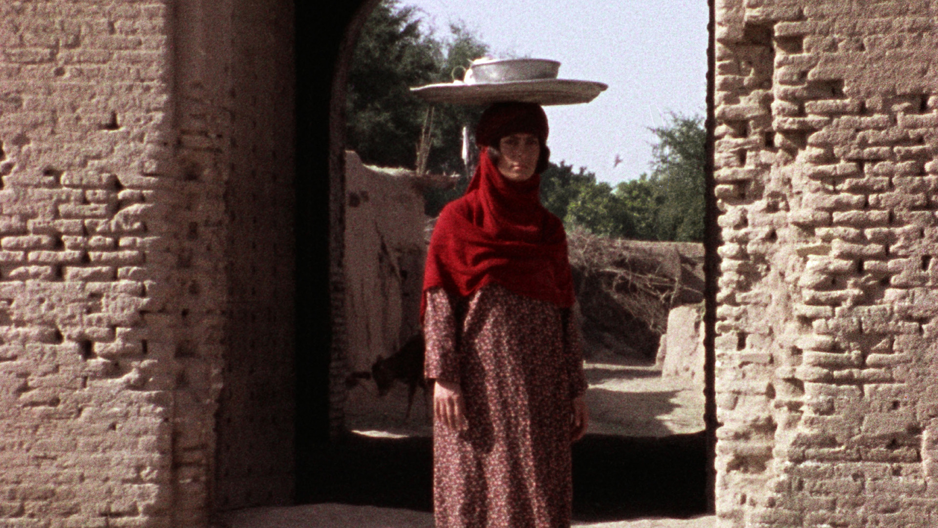 北影「德黑蘭：影史回顧」傳奇禁片《囚土》首登台灣大銀幕