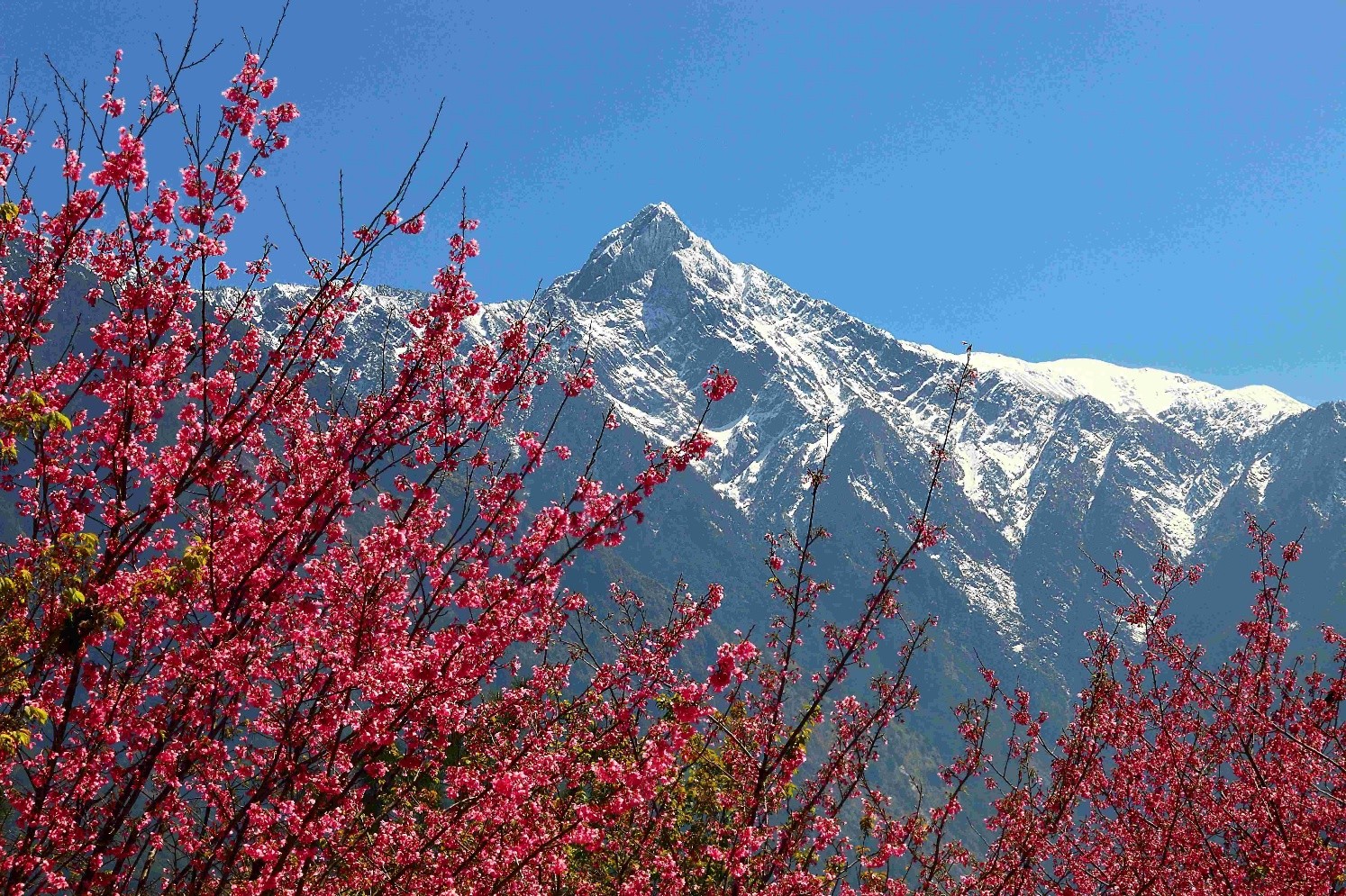 玉山在哪裡？「看見玉山-多視角之美」影像徵集活動