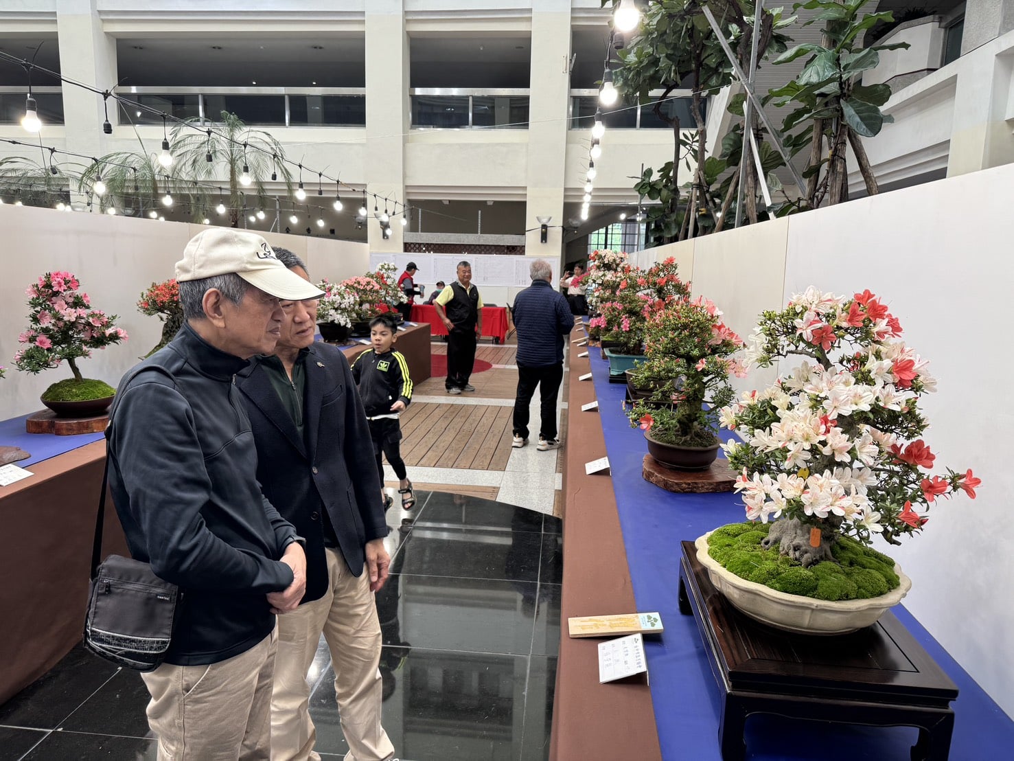 皐月花潮翻轉城市氣質 皐月杜鵑花季展4/4-4/12豐原陽明大樓登場